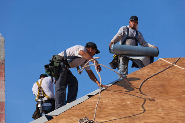 Best New Roof Installation  in Wallburg, NC