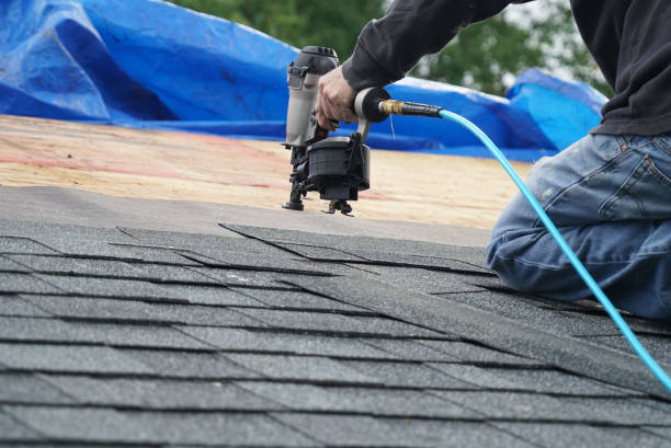 Roof Gutter Cleaning in Wallburg, NC