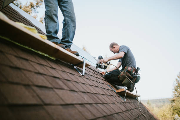Best Storm Damage Roof Repair  in Wallburg, NC